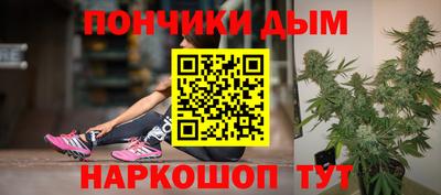 индика Будённовск
